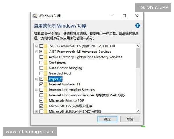 全面解析xwinbetapp官网的功能特色与使用流程,助你快速上手享受高效娱乐体验